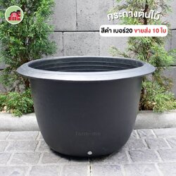 กระถางต้นไม้ทรงกลม ผิวด้าน เบอร์20 รุ่นJazz ขายส่ง 10 ใบ