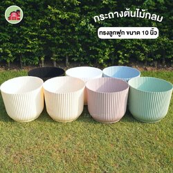 กระถางต้นไม้ ทรงลูกฟูก ขนาด 10 นิ้ว