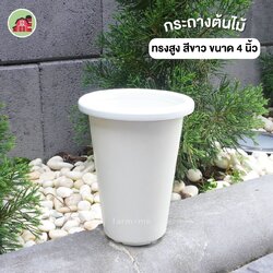 กระถางต้นไม้ ทรงสูง สีขาว ขนาด 4 นิ้ว แพ็ค50ใบ