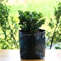 ถุงเพาะชำเนื้อPE แพ็ค1กก.