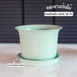 กระถางต้นไม้ ทรงถ้วยจีน ขนาด 12 นิ้ว ชุดพร้อมจาน