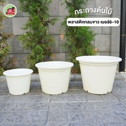 กระถางต้นไม้ ทรงกลมสีขาว เบอร์6-10 ขายปลีก