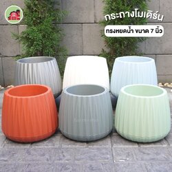 กระถางต้นไม้ ทรงหยดน้ำ ขนาด 7 นิ้ว