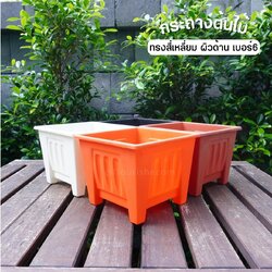 กระถางต้นไม้ สี่เหลี่ยม เบอร์ 6