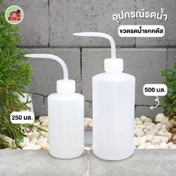 ขวดรดน้ำต้นแคคตัส สีขาวขุ่น ขนาด 250-500 มล.