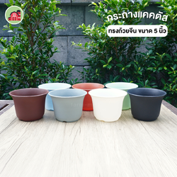 กระถางแคตตัส ทรงถ้วยจีน ขนาด 5 นิ้ว