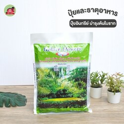 ปุ๋ยอินทรีย์ โกลเด้นฟลาวเวอร์2 สูตรต้นใบราก