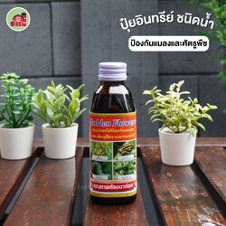 โกลเด้นฟลาวเวอร์ กำจัดหนอน เพลี้ยแป้ง ศัตรูพืช