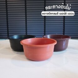 กระถางต้นไม้ กลมสี เบอร์8 แบบแขวน ขายปลีก