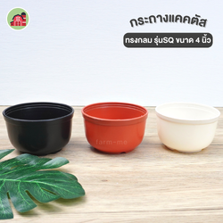 กระถางแคตตัส ทรงกลม ขนาด 4 นิ้ว รุ่นSQ แพ็ค50ใบ