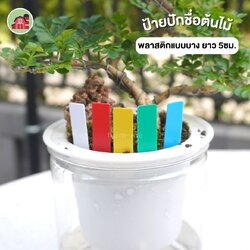 ป้ายชื่อต้นไม้ ป้ายปักพลาสติก แบบบาง ยาว 5ซม. แพ็ค100ชิ้น