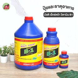 วิตามิน B1