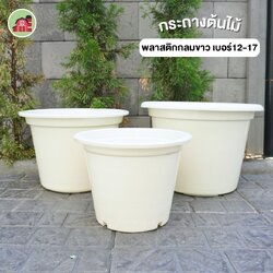 กระถางต้นไม้ ทรงกลมสีขาว เบอร์12-17 ขายปลีก
