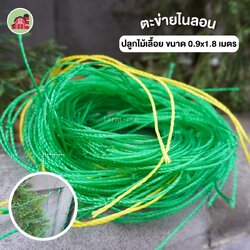 ตาข่ายไนลอน สำหรับปลูกไม้เลื้อย