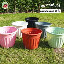 กระถางต้นไม้ ทรงโรมัน ขนาด 10 นิ้ว