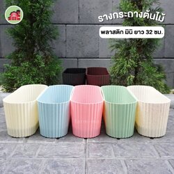 รางกระถางพลาสติก มินิ 32 ซม. กระถางรางหมู 4 นิ้ว