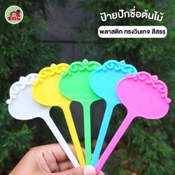 ป้ายชื่อต้นไม้แบบปัก ทรงวินเทจสีสรร แพ็ค 10 ชิ้น