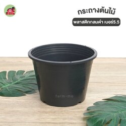 กระถางต้นไม้ กลมดำ เบอร์5.5