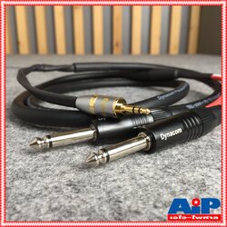 1.5เมตร DYNACOM JSL289สาย TR-ST ออก MIC x 2 1.5M สายสัญญาณ สายสัญญาณ TRS ออก โฟนโมโน สายแจ็ค สายโฟนโมโน สายสัญญาณเสียง JSL 289 JSL-289 เอไอ-ไพศาล