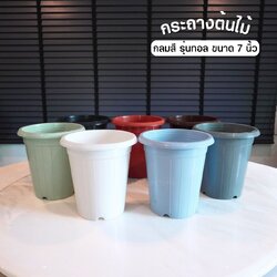 กระถางต้นไม้ กลมสี รุ่นทอล ขนาด 7 นิ้ว
