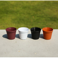 กระถางแคตตัส ขนาด 2 นิ้ว รุ่น BW02 แพ็ค50ใบ