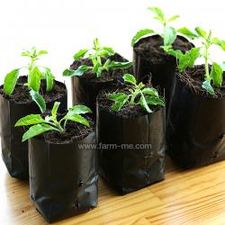 ถุงเพาะชำ เนื้อHD