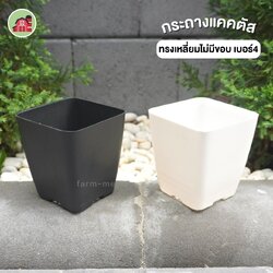 กระถางแคตตัส สี่เหลี่ยม เบอร์4 ไม่มีขอบ