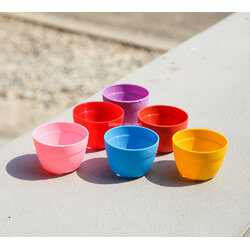 กระแคคตัส กลม ขนาด 2.5 นิ้ว รุ่น TC02 แพ็ค50ใบ