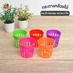 กระถางกล้วยไม้ ทรงกลม คละสี ขนาด 2 นิ้ว