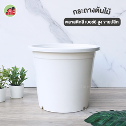 กระถางต้นไม้พลาสติก สีขาว เบอร์8 ทรงสูง ขายปลีก
