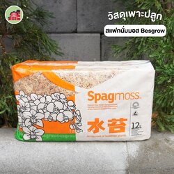 สแฟกนั่มมอส