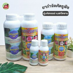 คู่มหัศจรรย์ เบสโตซาน ไคโตซาน