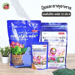 ออสโมโค้ท 13-25-6 / 6 เดือน