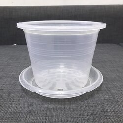 กระถางต้นไม้ แบบใส ขนาด 8 นิ้ว