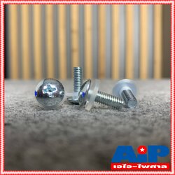 1ตัว น็อตยึด RACK / น๊อตยึดไดร์เวอร์แหลม พร้อม แหวนรอง NR+R / น็อตยึดแร็ก น็อคสำหรับตู้แร็ค น็อคยึดเครื่องเสียง น็อต ยูนิตเสียงแหลม เอไอ-ไพศาล