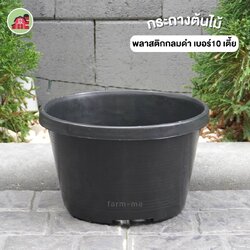กระถางต้นไม้ กลมดำ เบอร์10 แบบเตี้ย