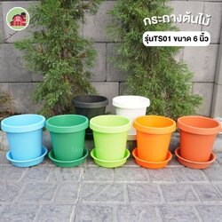 กระถางต้นไม้ กลมสี รุ่นTS01 ขนาด 6 นิ้ว พร้อมจานรอง