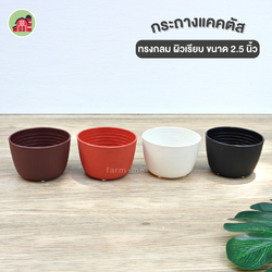 กระถางแคคตัส กลม ขนาด 2.5 นิ้ว แพ็ค50ใบ