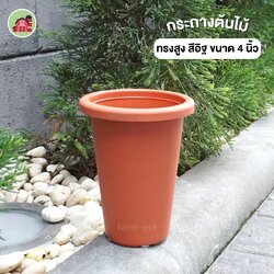 กระถางต้นไม้ ทรงสูง สีอิฐ ขนาด 4 นิ้ว แพ็ค50ใบ