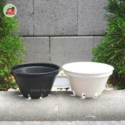 กระถางต้นไม้ รุ่นวีว่า ขนาด 6 นิ้ว แพ็ค50ใบ