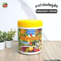 ไตรโคเดอร์ม่า 1กก.