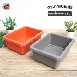 กระถางบอนไซจิ๋ว