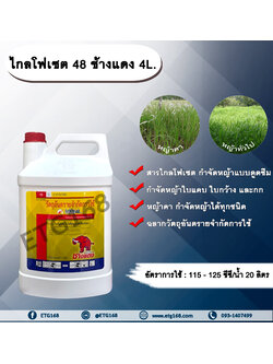 ไกลโฟเซต 48 ช้างแดง 4L.ไกลโฟเซต สารกำจัดวัชพืช แบบดูดซึม กำจัดหญ้าทุกชนิด ตายถึงรากถึงโคน หญ้าคา วัชพืชข้ามปี กำจัดหญ้าใบแคบ ใบกว้างและกก ดูดซึมไม่เลือกทำลาย Glyphosate