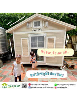 บ้านน้องแมว แบบพัดลม พร้อมตะแกรงเหล็ก+มุ้งลวดทั้งหลัง