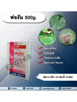 ฟอรัม 500g. ไดเมโทมอร์ฟ สารกำจัดโรคเชื้อรา โรคราน้ำค้าง โรคใบไหม้ โรคตากบตาเสือ โรคพืช เชื้อรา โรคแตงกวา แตงโม แคนตาลูป
