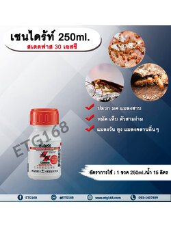 เชนไดร้ท์ 250ml. สเตดฟาส 30 เอสซี ไบเฟนทริน กำจัดปลวก มด แมลงสาบ หมัด เห็บ ตัวสามง่าม แมลงวัน ยุง แมลงคลานอื่นๆ