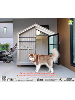 บ้านหมา บ้านแมว 𝐓𝐡𝐚𝐢 𝐝𝐨𝐠𝐠𝐲 𝐡𝐨𝐮𝐬𝗲