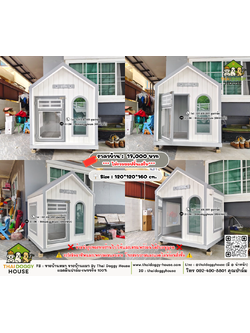 บ้านหมา บ้านแมว 𝐓𝐡𝐚𝐢 𝐝𝐨𝐠𝐠𝐲 𝐡𝐨𝐮𝐬𝗲