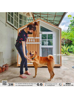 บ้านหมา บ้านแมว " 𝐓𝐇𝐀𝐈 𝐃𝐎𝐆𝐆𝐘 𝐇𝐎𝐔𝐒𝐄 " 🐕🦺🐈 แบบใหม่แบบสับล่าสุดของทางร้าน ดีไซน์ทันสมัย ให้ความรู้สึกเรียบหรู สว