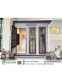 บ้านน้องแมวหลังใหญ่ " Box Style " สามารถติดตั้งของเล่นให้น้องแมวเพิ่มเติมได้